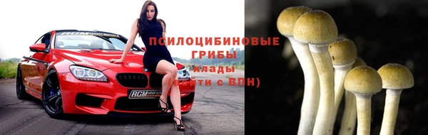 твердый Алексеевка