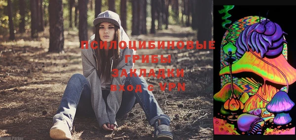 твердый Алексеевка