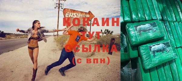 прущий лед Алзамай