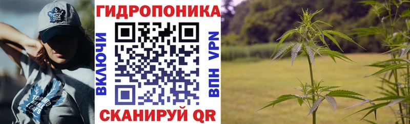 Каннабис SATIVA & INDICA  kraken ССЫЛКА  маркетплейс Telegram  Устюжна 